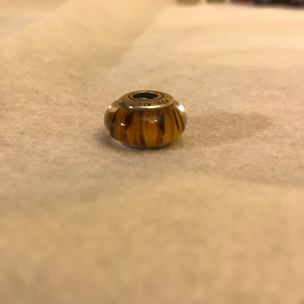 Retired Murano Glass Pandora Charm